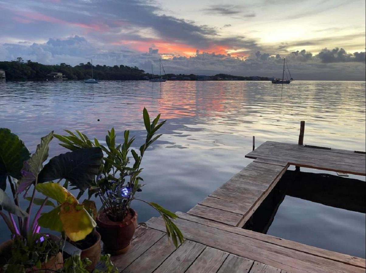 Villa Amaya Bocas del Toro Zewnętrze zdjęcie