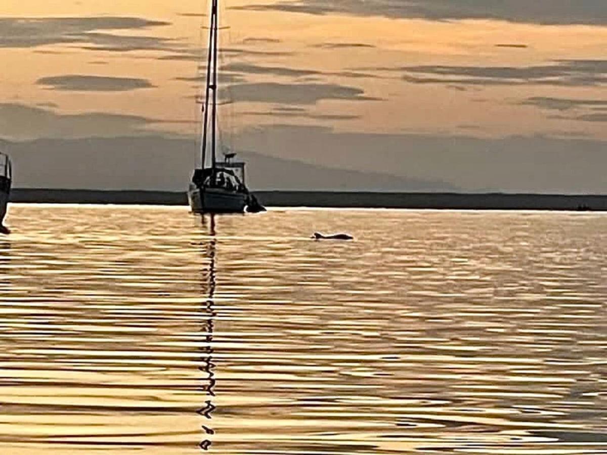 Villa Amaya Bocas del Toro Zewnętrze zdjęcie